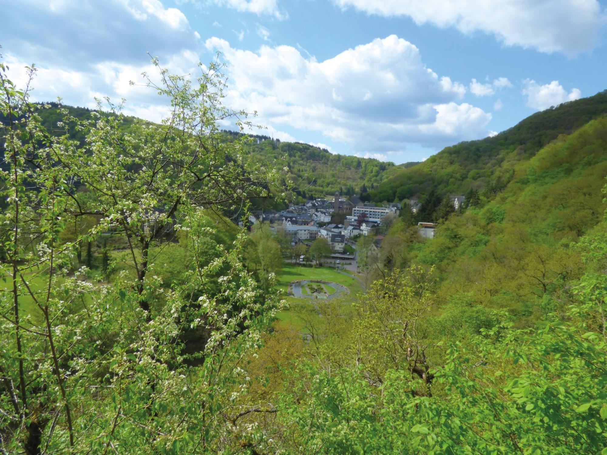 Landhaus Am Sonnenberg Leilighet Bad Bertrich Eksteriør bilde